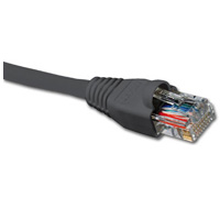 8199147C-FE84-4EB1-B56F-A4AE1F380060 - 200 x 200