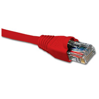 825EE2ED-A18A-4F25-AC3B-75C78A893C0F - 200 x 200