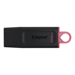 Kingston DataTraveler Exodia M - Unidad flash USB - 256 GB - USB 3.2 Gen 1