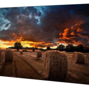 Samsung VM55B-U - 55" Clase diagonal VMB-U Series pantalla LCD con retroiluminación LED - señalización digital - 1080p 1920 x 1080